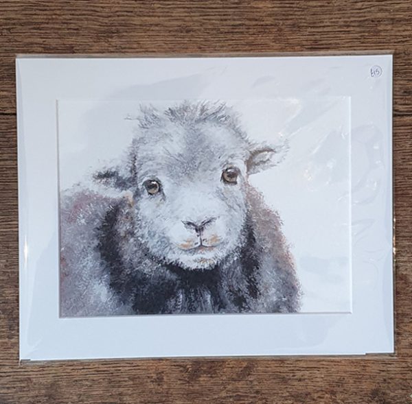Print 4 Herdwick Sheep