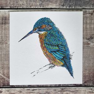 Kingfisher-by-Doodleicious-www.thefoxandcrowgallery.co.uk