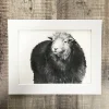Print 1 - Herdwick Sheep